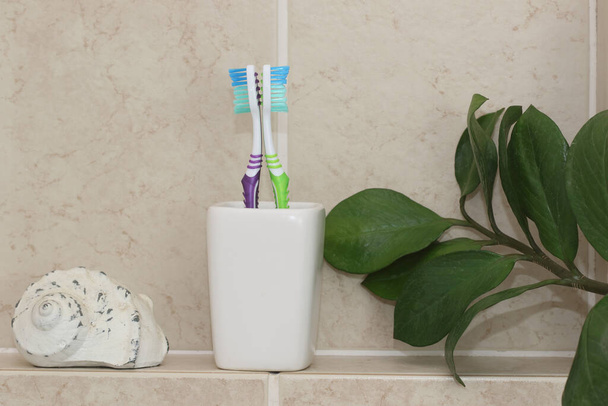 Οδοντόβουρτσα σε πλαστική θήκη στο μπάνιο. Νάιλον τρίχες και πλαστικές λαβές.  - Φωτογραφία, εικόνα