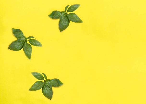 Composition of basil leaves on the yellow background. Top view. Copy space. - Фото, зображення