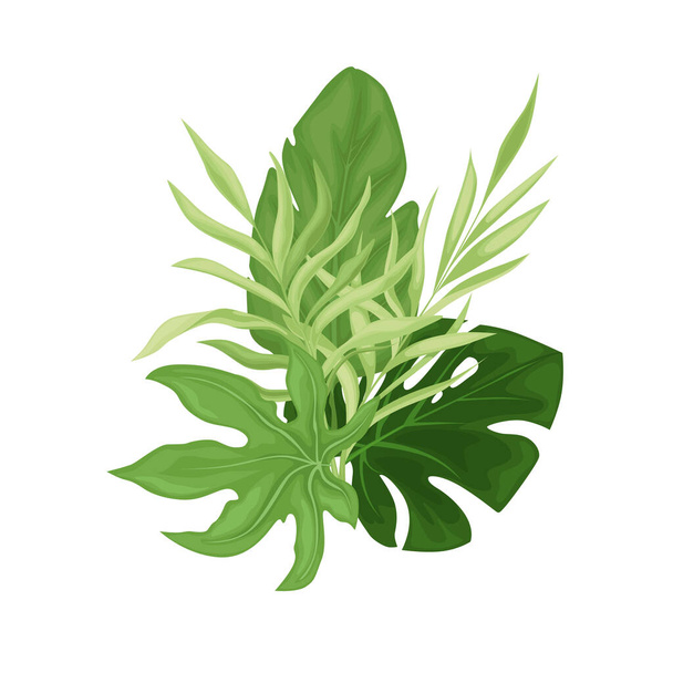 Hojas tropicales verdes. La composición muestra una variedad de follaje exuberante que representa hojas de palma, helechos, hojas de plátano y hojas de monstera. - Vector, Imagen