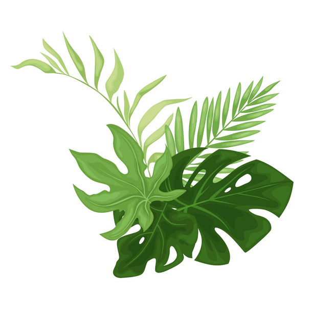 Green tropical leaves. The composition showcases a variety of lush foliage depicting palm leaves, ferns, banana leaves and monstera leaves. - Wektor, obraz