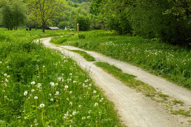 Pathway in beautiful natual surroundings. High quality photo - Фото, изображение