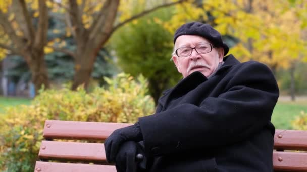 A wise old senior sits on a bench in an autumn park and says something. Seniors. Age - Metraje, vídeo