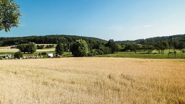 Landschap van veld en heuvels van Wiezyca, Kasjoebische regio in Polen. Concept landbouw en exploratie. - Foto, afbeelding