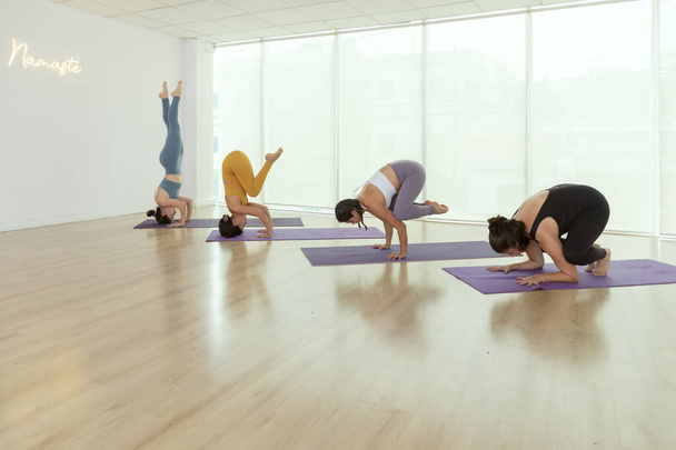 Четыре женщины, занимающиеся продвижением йоги, позируют в помещении в студии - Фото, изображение