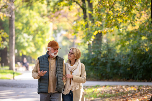 Heureux couple de personnes âgées marchant dans le parc d'automne
 - Photo, image