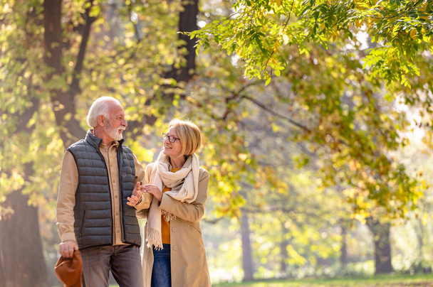Heureux couple de personnes âgées marchant dans le parc d'automne
 - Photo, image