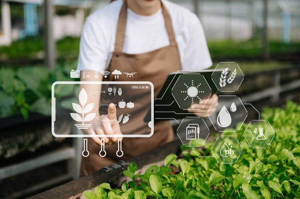 Smart farmer using application by tablet concepts modern agricultural technology and visual icon.Smart farming at greenhouse - 写真・画像