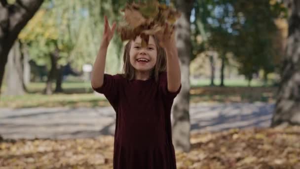 Портрет улыбающейся маленькой девочки, которую рвет осенними листьями. Съемка с красной гелиевой камерой в 8K - Кадры, видео