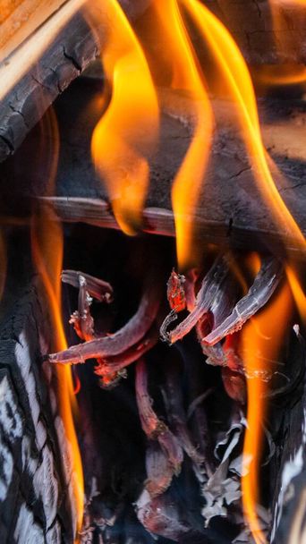 Oheň hoří v táborovém ohni s červeným ohněm v pozadí. Kvalitní fotografie - Fotografie, Obrázek