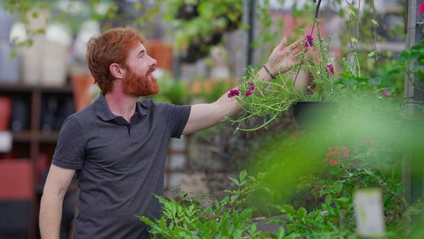 Ehrlicher junger rothaariger Mann riecht Blume im Gartenbau-Einzelhandel - Foto, Bild