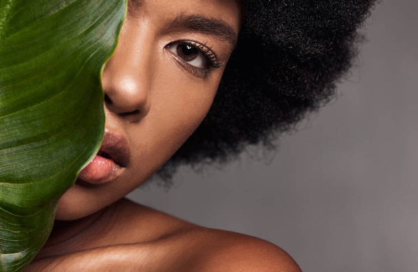 Zwarte vrouw, oog en blad, natuurlijke schoonheid en milieuvriendelijke cosmetica met gezicht op studio-achtergrond. Gezicht, portret en Afrikaans model met wimpers, huidverzorging en glans met duurzame dermatologie. - Foto, afbeelding