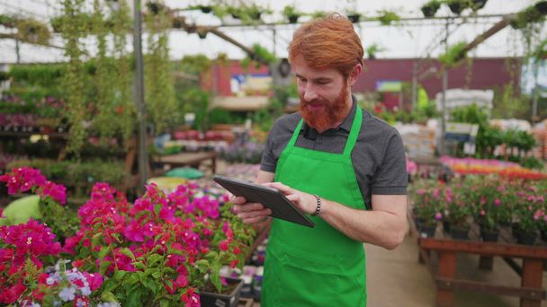 Uma equipe masculina usando tablet para procurar inventário dentro Flower Shop. Jovem vestindo avental verde segurando tecnologia moderna - Foto, Imagem
