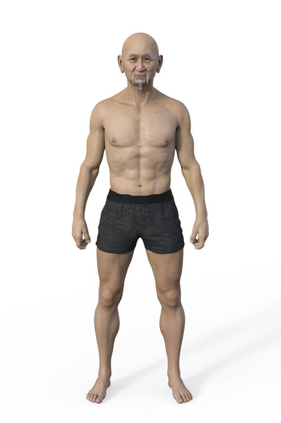 肩幅が広く腰幅が狭く、筋肉・運動性のある構造が特徴の、メソモルフボディタイプの男性体の3Dイラスト。. - 写真・画像