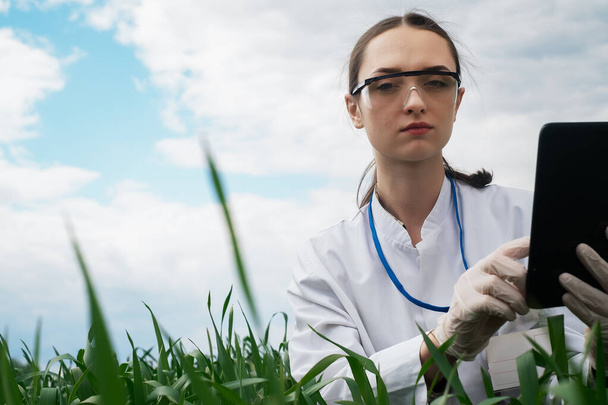 Женщина-агроном в белом халате проверяет рост растений в поле. Биолог в поле проверяет показания пшеницы, фермер записывает на планшете, концепцию агробизнеса - Фото, изображение