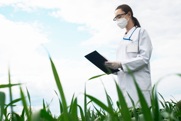 Les généticiens, les biologistes et les scientifiques étudient la structure génétique des germes de blé sur le terrain, le concept agricole, l'agriculture - Photo, image