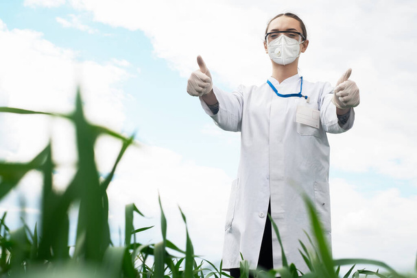 Genetistas, biólogos y científicos estudian la estructura genética de los brotes de trigo en el campo, el concepto agro, la agricultura - Foto, imagen