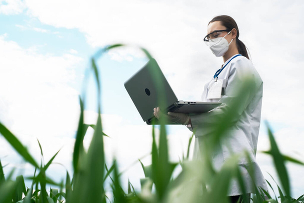 Агроном, использующий планшеты и технологии на сельскохозяйственном кукурузном поле. Фермер ходит по полю с табличкой. Женщина-биолог с ноутбуком - Фото, изображение