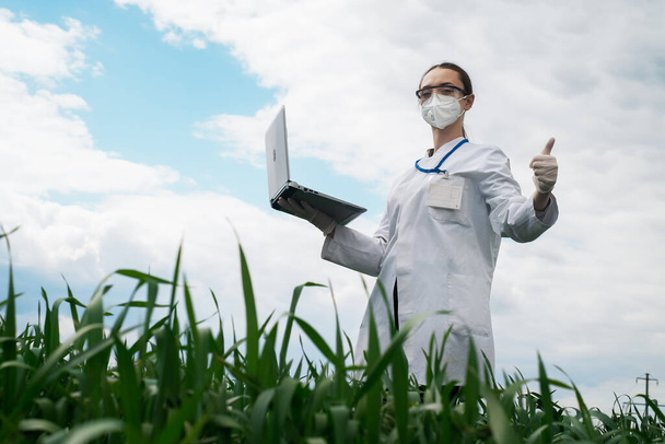 Agrónomo que utiliza tableta y tecnología en el campo de maíz agrícola. El granjero camina por el campo con una tableta. Mujer bióloga con portátil - Foto, imagen