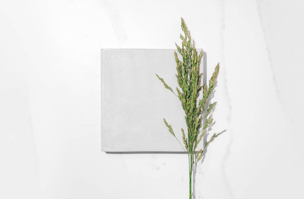 Flat lay cosmetics skin care product presentation scene and display made with square podium and summer grass. Studio photography. - Fotó, kép