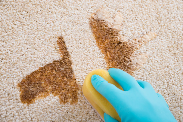 Person Cleaning Carpet - Fotografie, Obrázek