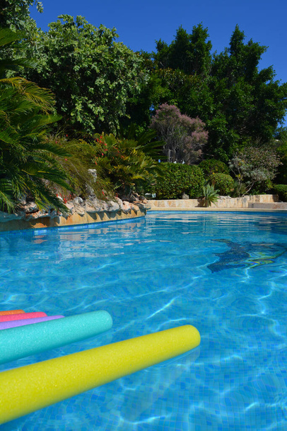 Яркая и красочная плавательная лапша, плавающая на ярко-голубом бассейне в средиземноморском саду летом - Фото, изображение
