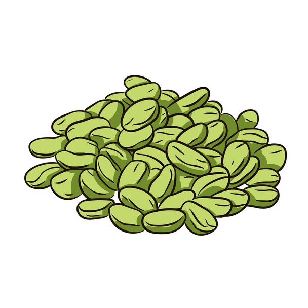Lima beans. Lima beans hand-drawn illustration. Vector doodle style cartoon illustration - Vektör, Görsel