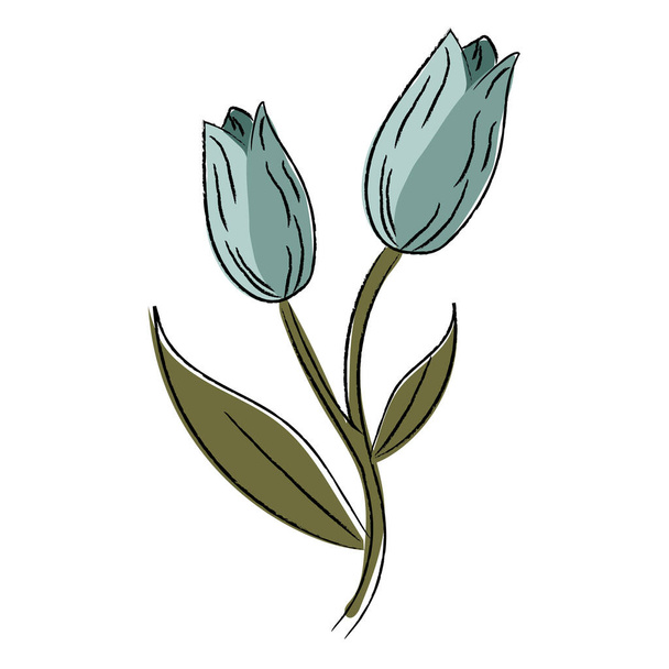 Isolated colored realistic flower sketch Vector illustration - Vektor, Bild