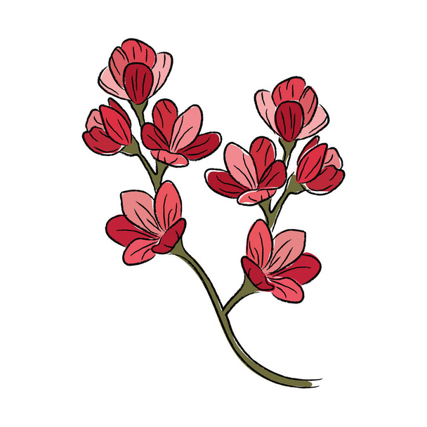 Isolated colored realistic flower sketch Vector illustration - Vektör, Görsel