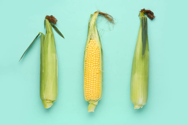 Pannocchie di mais fresco su sfondo blu - Foto, immagini