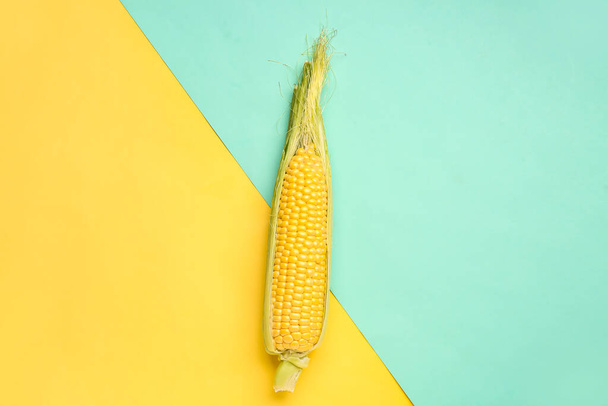 Čerstvé kukuřice cob na barevném pozadí - Fotografie, Obrázek