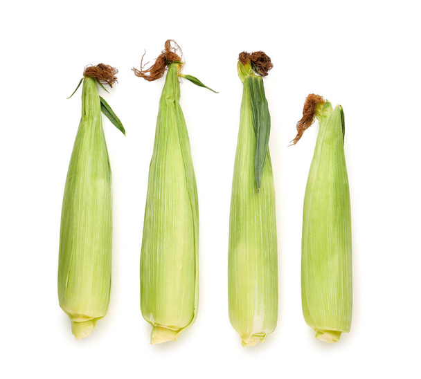 Čerstvé kukuřice cobs na bílém pozadí - Fotografie, Obrázek