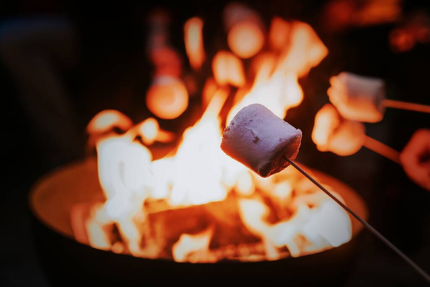 Amis appréciant s'mores et moelleux ensemble par le feu de joie  - Photo, image