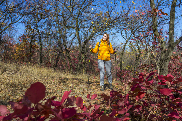 Hiking at autumn forest - Fotografie, Obrázek
