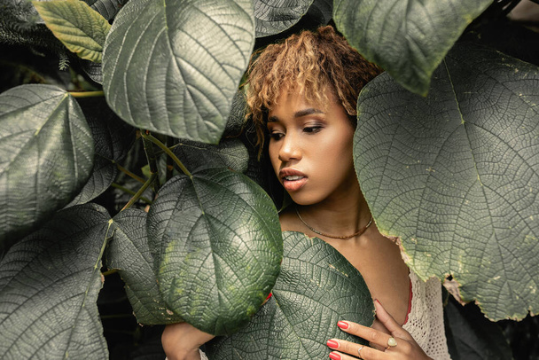 Fiatal és modern afro-amerikai nő smink megható, és nézi a zöld lombozat, miközben áll az üvegház, elegáns nő élvezi buja trópusi környezetben - Fotó, kép