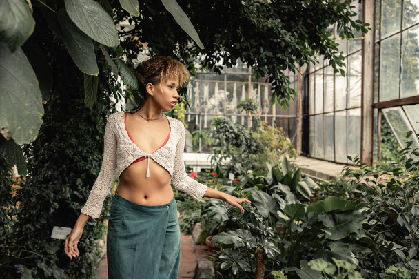 Mulher americana africana jovem na moda na saia de verão e top de malha tocando planta e olhando para longe, enquanto em pé em estufa turva no fundo, senhora elegante cercada por vegetação exuberante - Foto, Imagem