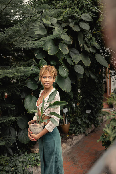 Mujer afro americana positiva y de moda en traje de verano en la parte superior de punto y falda sosteniendo planta en maceta y mirando hacia otro lado mientras está de pie en el jardín interior, señora elegante rodeada de exuberante vegetación - Foto, Imagen