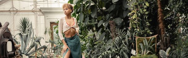 Jovem afro-americana em top de malha e saia posando e olhando para longe enquanto estava perto de folhagem verde em estufa, mulher elegante com pano de fundo tropical, banner  - Foto, Imagem