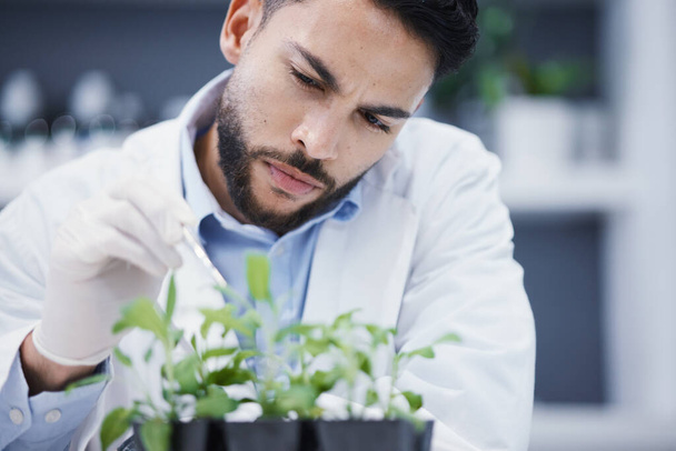 Plants, thinking and scientist man in laboratory with solution, growth check and analysis of medical research or test. Young science person with focus for green leaf, weed medicine or pharmaceutical. - Photo, Image