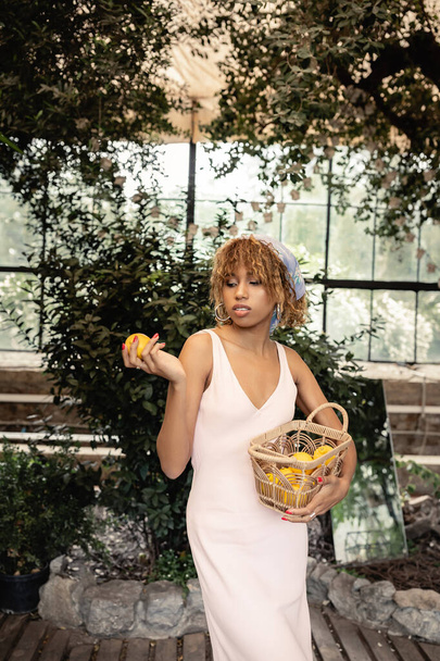 Módní mladá afro-americká žena v letních šatech a šátku držící košík a čerstvý citron, zatímco stojí v rozmazané oranžové, trendy žena s tropickým vkusem, letní koncept - Fotografie, Obrázek