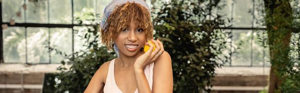 Pleased young african american woman with braces wearing headscarf and summer dress and holding fresh lemon and standing in blurred orangery, stylish lady blending fashion and nature, banner  - Zdjęcie, obraz