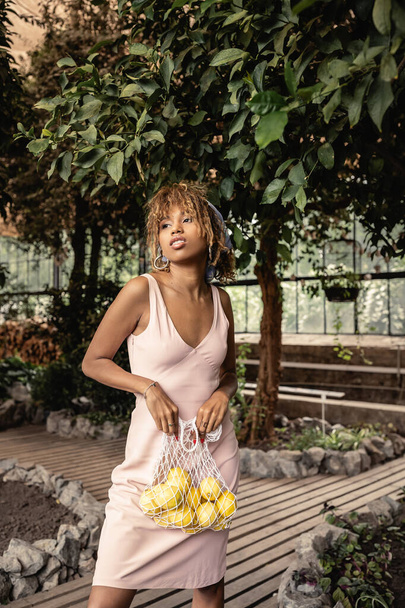 Trendy young african american woman in headscarf and summer dress holding mesh bag with fresh lemons while standing in garden center, trendy woman surrounded by tropical lushness, summer concept - Photo, Image