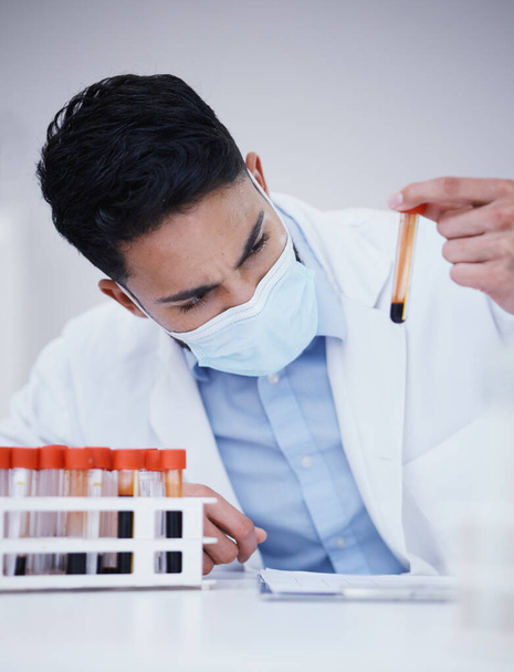 Blood test, tube and scientist man with research analysis, vaccine and healthcare face mask in laboratory. Medical, science doctor or person focus, inspection and red, dna liquid or covid 19 solution. - Photo, image