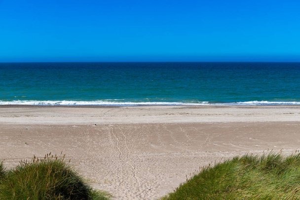 overgrown dunes on the beach in Denmark with sea in the background. High quality photo - Фото, зображення