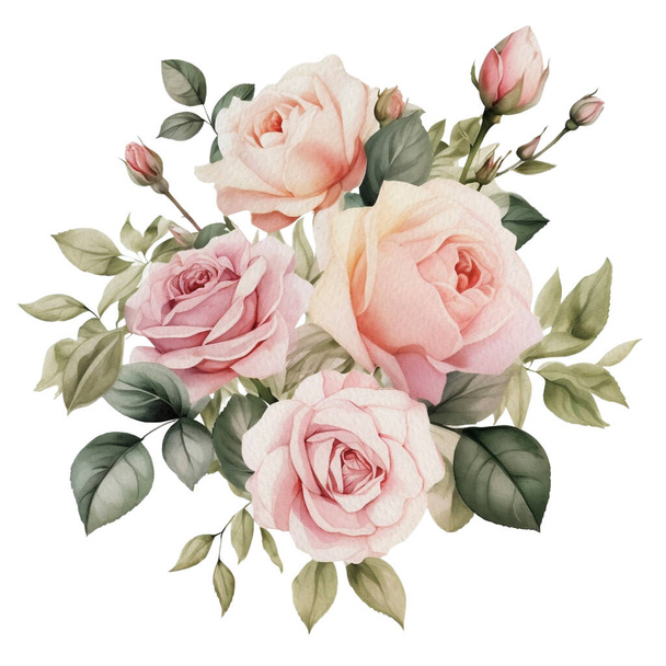 Akvarel Romantické růžové růže Květinové aranžmá. Izolované svatební kliparty ilustrace pro pozvánky, logo, blahopřání, bannery a další. - Vektor, obrázek