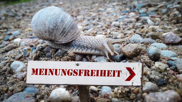 een afbeelding met een teken dat wijst naar de vrijheid van meningsuiting in het Duits - Foto, afbeelding