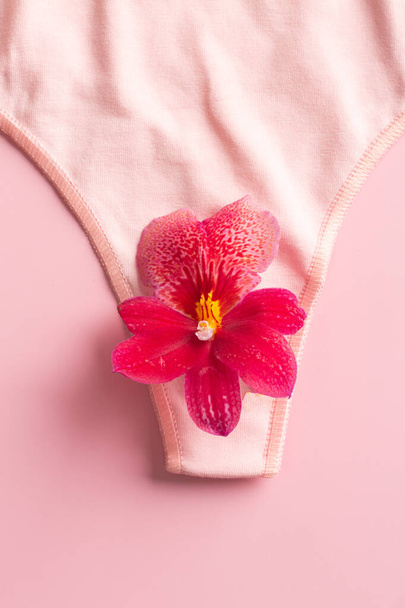 The concept of the reproductive organs of a woman, the vagina in the form of panties. High quality photo - Photo, image