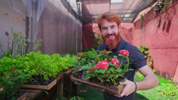 Joyeux jeune homme roux tenant pot de plantes dans l'environnement horticole arrière-cour. Petite communauté Portrait de fleuriste - Photo, image