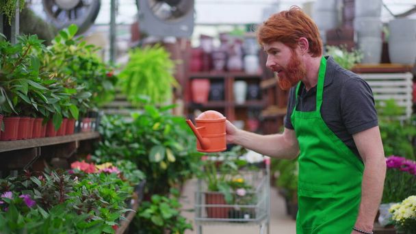棚通路上のフラワーショップ散水工場の1人の若い従業員。水を使って緑のエプロンをつけた男性の赤毛のスタッフが地元のビジネス店で働くことができます - 写真・画像