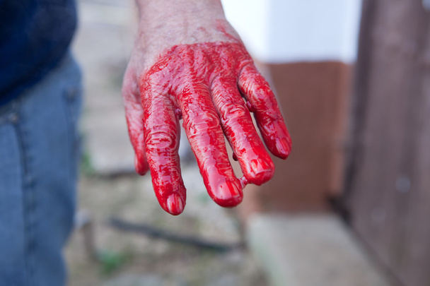 Farmer hand after stiring the blood - Photo, Image