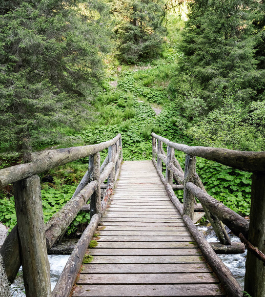 Trentino Alto Adige, Lagorai Italy - Wooden bridge in the path in the middle of the mountain forest - Photo, image